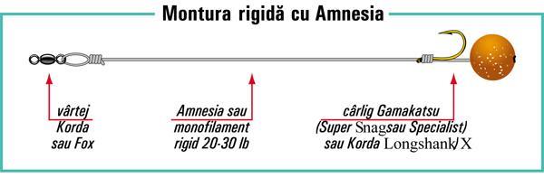 monturi crap - monturaamnesiaaf87b29.jpg
